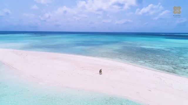 Plumeria Maldives Excursions