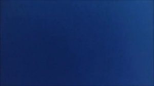 GoFish Cam - подводный регистратор рыбной ловли.