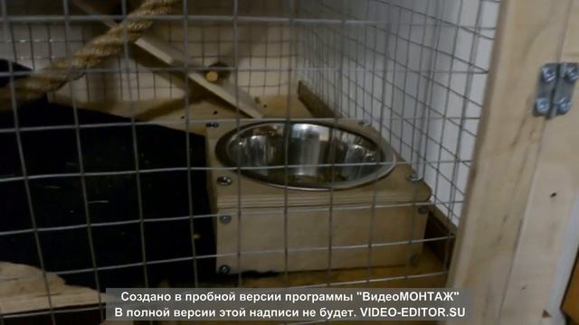 КЛЕТКА ДЛЯ БЕЛОК ДЕГУ СВОИМИ РУКАМИ,ОБЗОР. смотреть онлайн