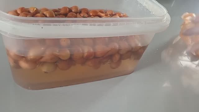 Апрель, посадка лука на головку. смотреть онлайн