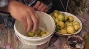 ЯБЛОКИ МОЧЁНЫЕ с МЁДОМ