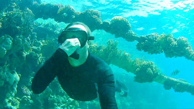 трубы смотреть онлайн