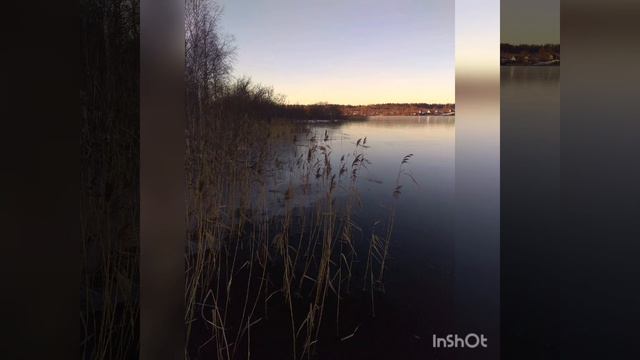 Хочу скачать хочу туда, ну не смогу отдыхать и просто по гулять. нет. Мысли @Mariamusicofficial 💋👌 смотреть онлайн
