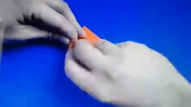 Таксюша- веселый урок 5. Тюльпан из бумаги ко Дню Победы смотреть онлайн