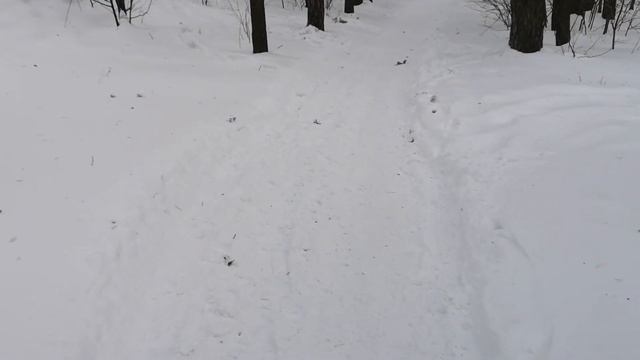 УЛЫБАЙТЕСЬ ЧАЩЕ И ЧАЩА УЛЫБНЕТСЯ В ОТВЕТ:) смотреть онлайн
