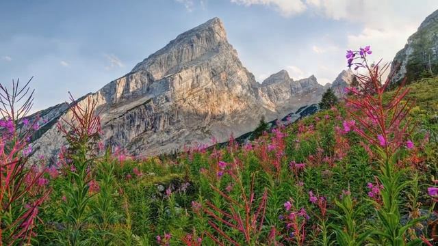 Автобиография йога Аудиокнига. Часть 2. Йогананда Парамаханса