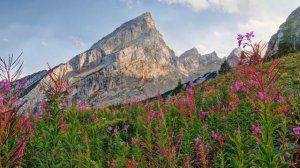 Автобиография йога Аудиокнига. Часть 2. Йогананда Парамаханса