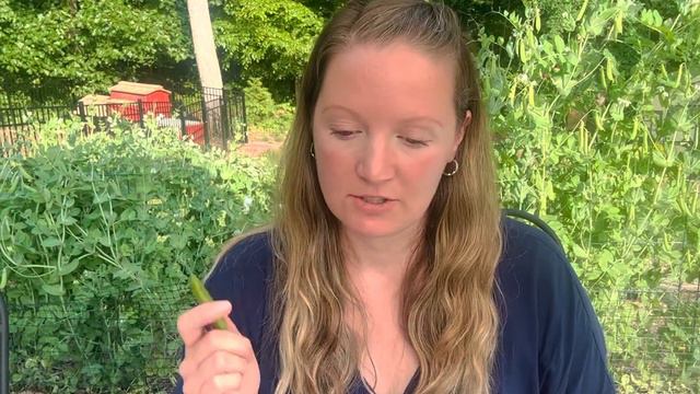 Growing and preserving shelling peas смотреть онлайн
