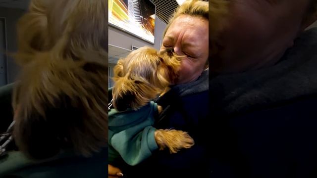 Встреча после года разлуки смотреть онлайн