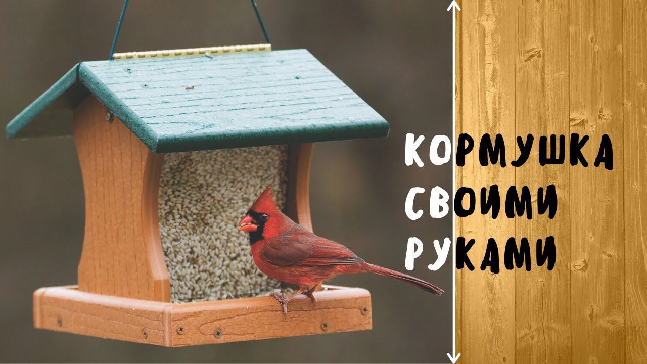 КОРМУШКА ДЛЯ ПТИЦ ЗА 30 минут смотреть онлайн