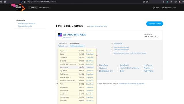 Where to find your fallback versions and license of JetBrains products смотреть онлайн
