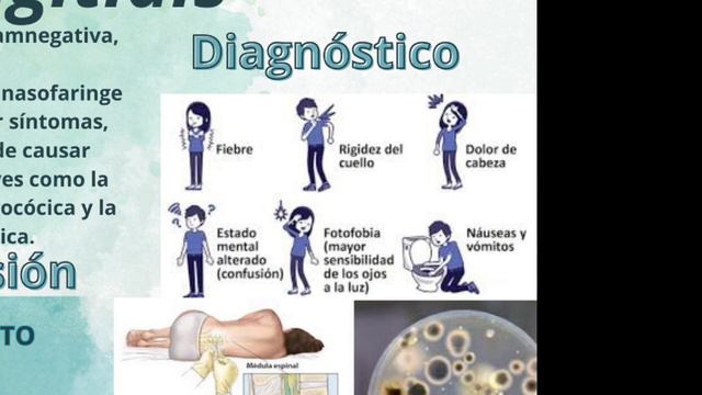Neisseria meningitidis - Microbiologia I смотреть онлайн