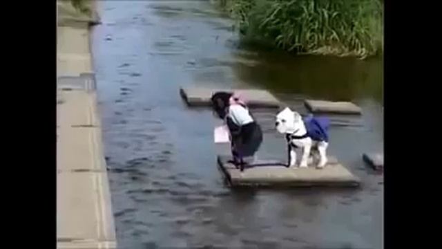 Наставничество (Как супервайзер работает в полях с торговым представителем) смотреть онлайн