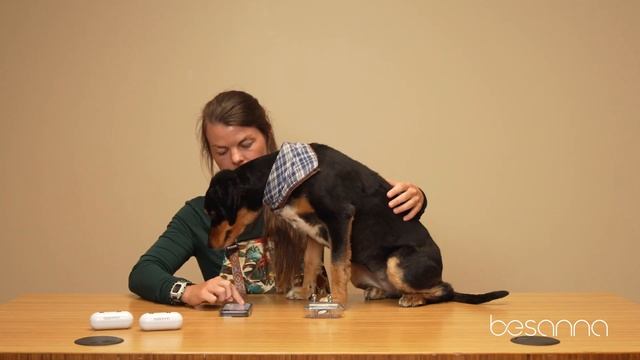 The Besanna Scan on a Dog смотреть онлайн