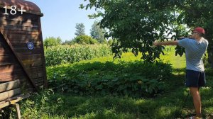 Стреляю из самодельной рогатки стрелами