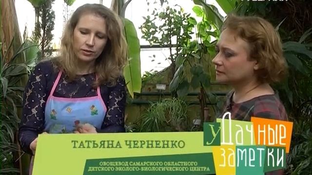 Регулируем рост рассады. Удачные заметки смотреть онлайн