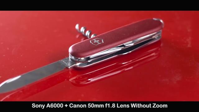 Digital Zoom Comparison - Canon 80D Vs Sony A6000 (In Hindi) смотреть онлайн