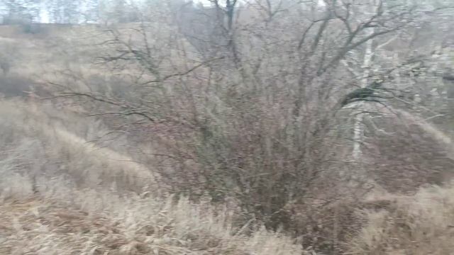 Ford ranger and Mitsubishi L200 ,УАЗ