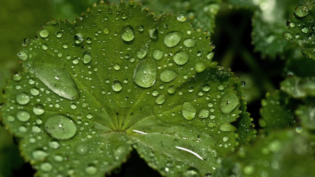 3 ЧАСА УСПОКАИВАЮЩЕЙ МУЗЫКИ смотреть онлайн