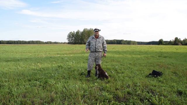 Наши прогулки #10. Обучение собаки команде сидеть. Как я это делаю. смотреть онлайн