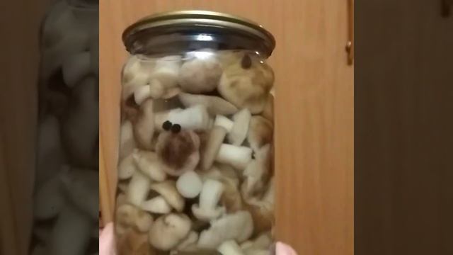 Грибная лаборатория