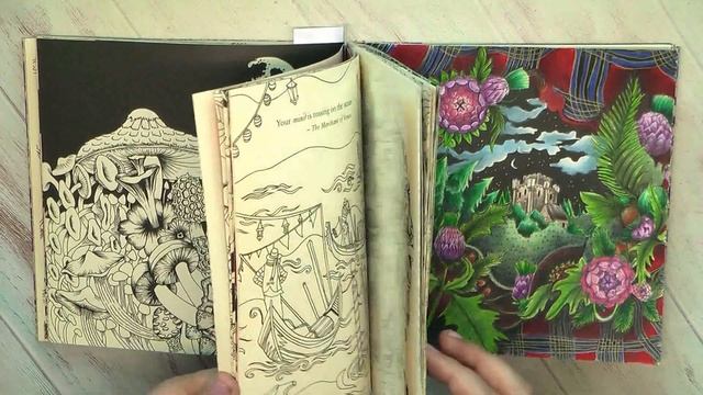 Раскрашенное за НОЯБРЬ '21 #раскраска #раскрашиваю / Что я раскрасила смотреть онлайн