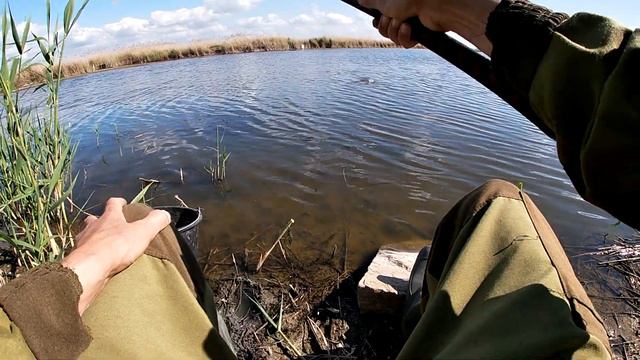 Леска ЗВЕНИТ! Карась и сазанчик на поплавок! Весенний жор! смотреть онлайн