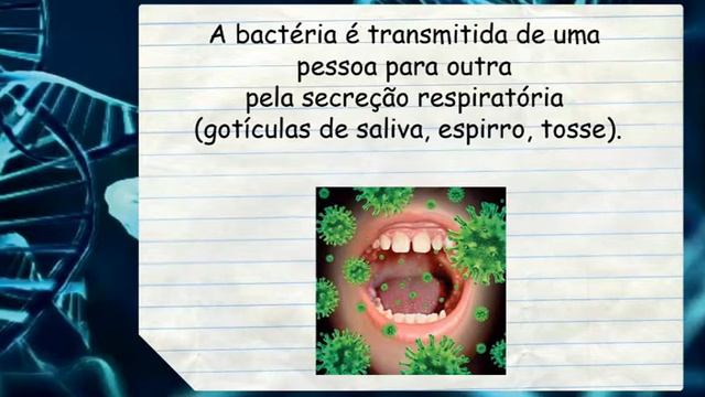 Trabalho microbiologia Neisseria Meningitidis смотреть онлайн