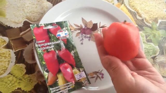 ТОМАТ "ПЕРЦЕВИДНЫЙ РОЗОВЫЙ". ДЕГУСТАЦИЯ !!! смотреть онлайн