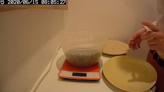 Сравнение абсорбционных свойств силикагеля КСМГ и активированного цеолита DRY OFF смотреть онлайн