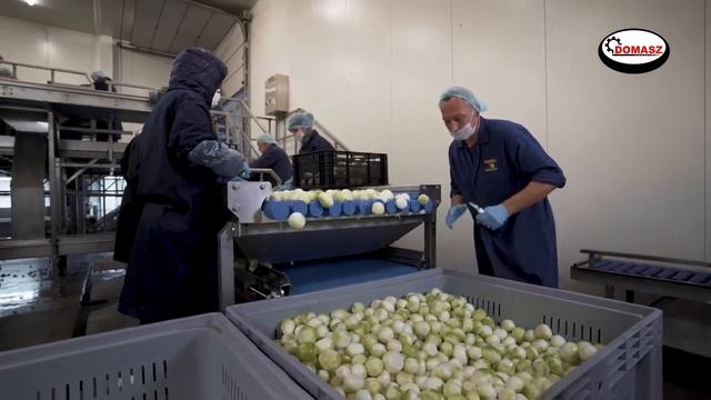 Машина для чистки лука C-line DOMASZ смотреть онлайн