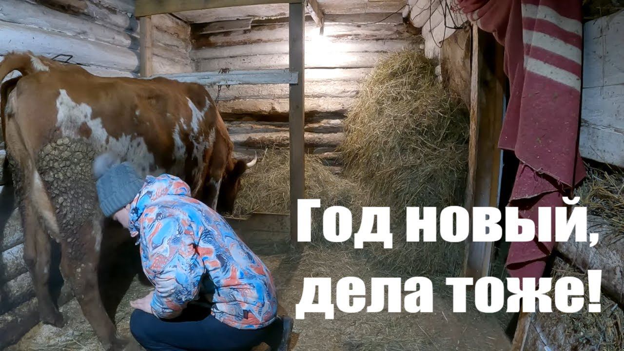 От дождя до -30... Корова, хозяйство, начало года в деревне! смотреть онлайн