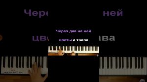 Караоке " Белый снег, серый лёд"