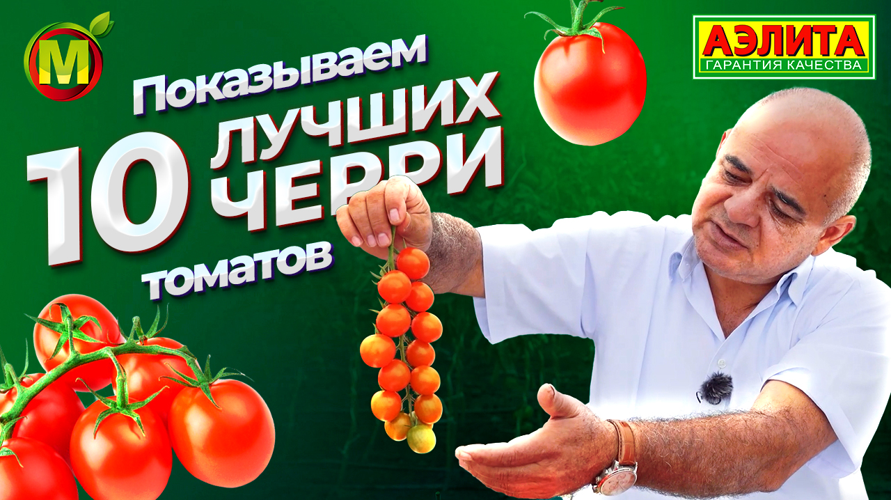 10 ЛУЧШИХ ТОМАТОВ ЧЕРРИ! Большой обзор красивых и урожайных сортов. Секреты выращивания. смотреть онлайн