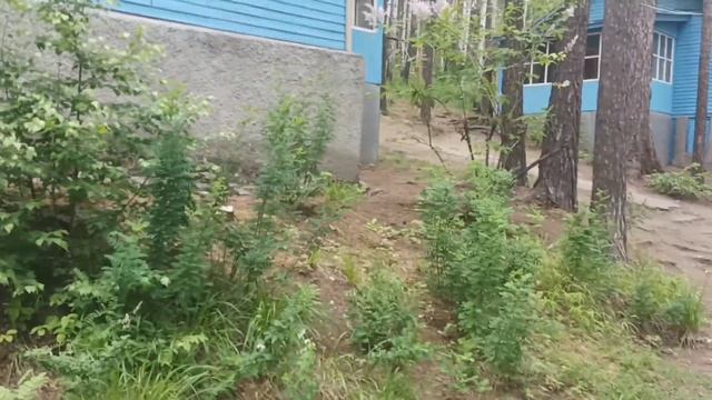 озеро песчаное г Екатеринбург первоуральск смотреть онлайн