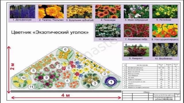 Кареопсис, бузульник, ирис. Создаём клумбу своими руками. смотреть онлайн