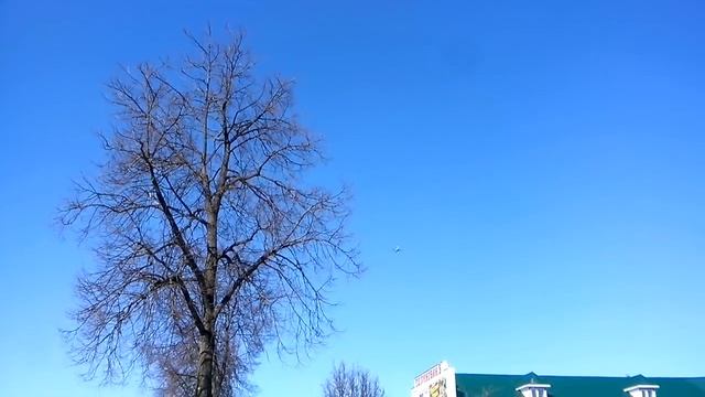 Жители Жуковки требует переместить полёты от города смотреть онлайн