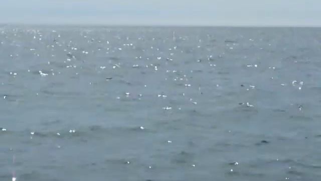 Я купаюсь на озере Байкал. смотреть онлайн