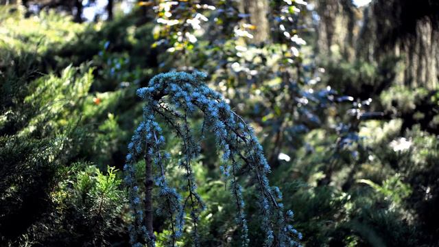 Поездка в Крым, весна 16го смотреть онлайн