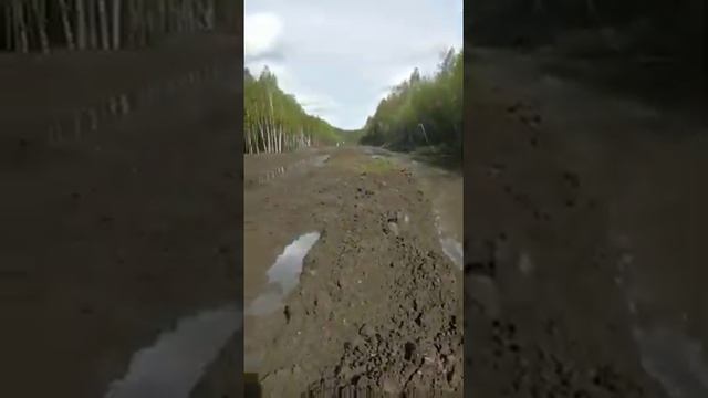 Зея - Золотая гора,2 смотреть онлайн