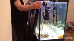 Клею фон на аквариум с помощью глицерина/New background in the aquarium