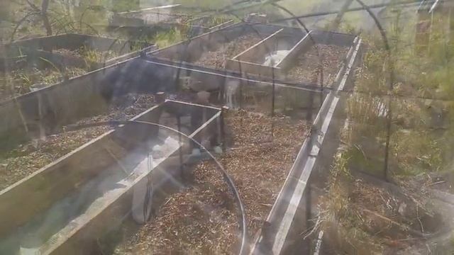 Ремонт старого парника, теплицы/из старого новый (часть 1) каркас