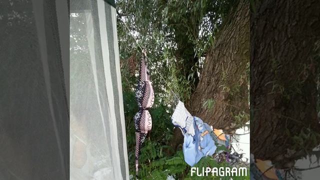 Рыбалка в станице Рязанской. смотреть онлайн