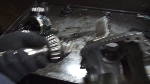 Жизнь в Красках