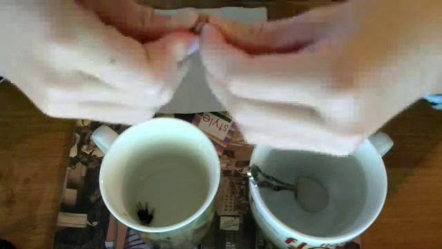 изменение кисти руки монстр хай смотреть онлайн