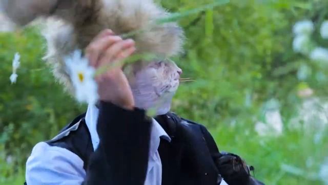 LoveStory в стиле Алисы в стране чудес смотреть онлайн