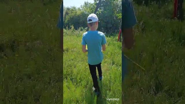 Ловля ящірок