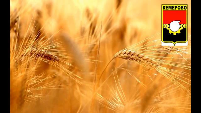 РЕГИОН 42. КЕМЕРОВСКАЯ ОБЛАСТЬ (КУЗБАСС). СТОЛИЦА КЕМЕРОВО. СТИХИ ДЛЯ МАЛЫШЕЙ. смотреть онлайн