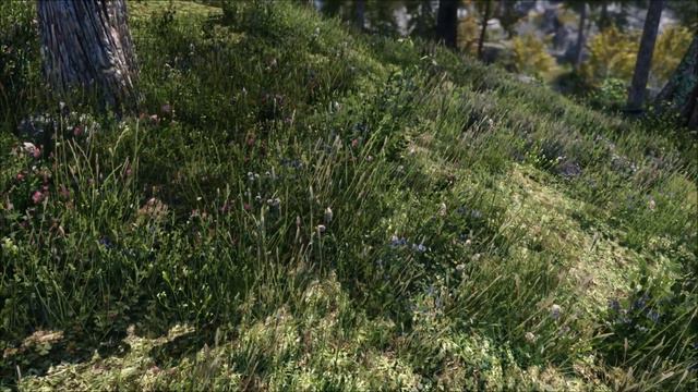 The Great Grass Showdown! SKYRIM SE 2019 | 6 of the BEST Grass Mods Compared | 2K смотреть онлайн