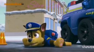 😖Скай и Гонщик 😖 (Между строк)~Для канала база хулиганов~ 😖Chase x Skye😖